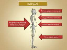 Упражнения устранения дефектов костно-мышечной системы и для правильной осанки