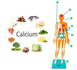 Как правильно принимать кальций, чтобы не навредить организму