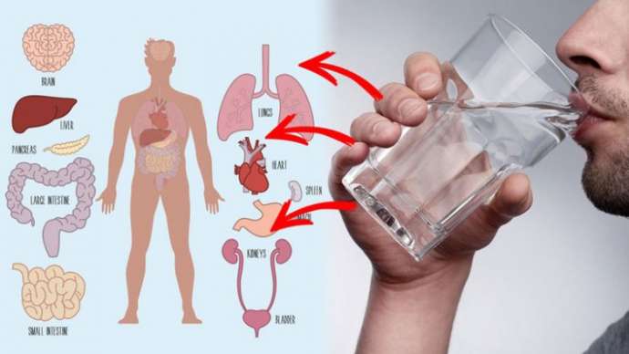 Почему лучше пить воду теплой