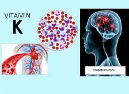 Признаки дефицита витамина К, и как восполнить нехватку