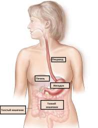Основные заболевания пищевода и их симптомы