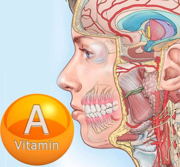 Лучшие источники витамина А и его польза