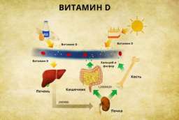 Признаки дефицита витамина D