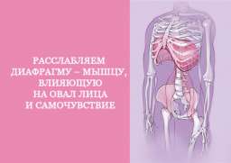 Расслабляем диафрагму. Эта мышца влияет на овал лица и самочувствие