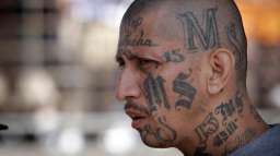 MS-13: самая страшная банда в мире