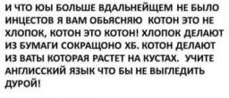 Вернемся к вопросу грамотности в социальных сетях