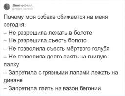 «За что на меня обиделась собака?»: забавный флешмоб в Твиттере