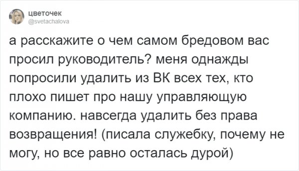 Тред в Твиттере: самые странные указания от начальства