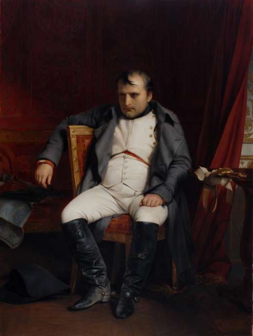 Почему Наполеон не смог победить Россию: мнения историков