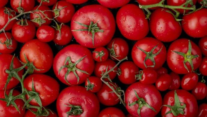 Можно ли помидоры при грудном вскармливании