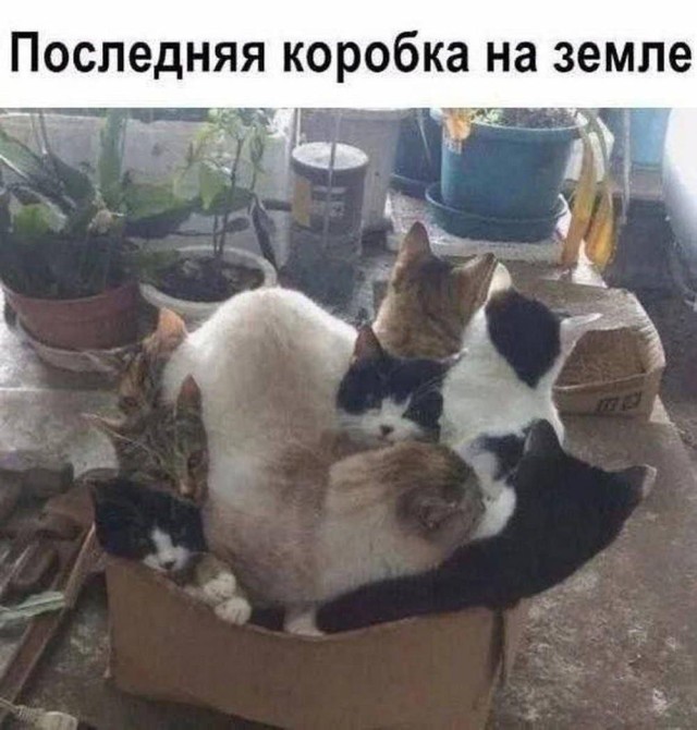 Фотоприколы для всех