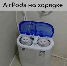 Пятничные фотоприколы: «AirPods на зарядке»