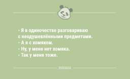 Я в одиночестве разговариваю с неодушевлёнными предметами…