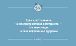 Время, потраченное на просмотр котиков в Интернете...