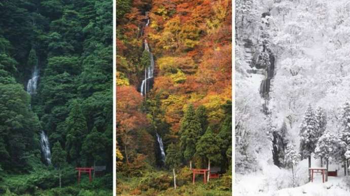 14 веских фотодоказательств того, что Япония — исключительная и неповторимая страна