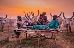 Мундари — африканское племя, для которого коровы стали членами семьи