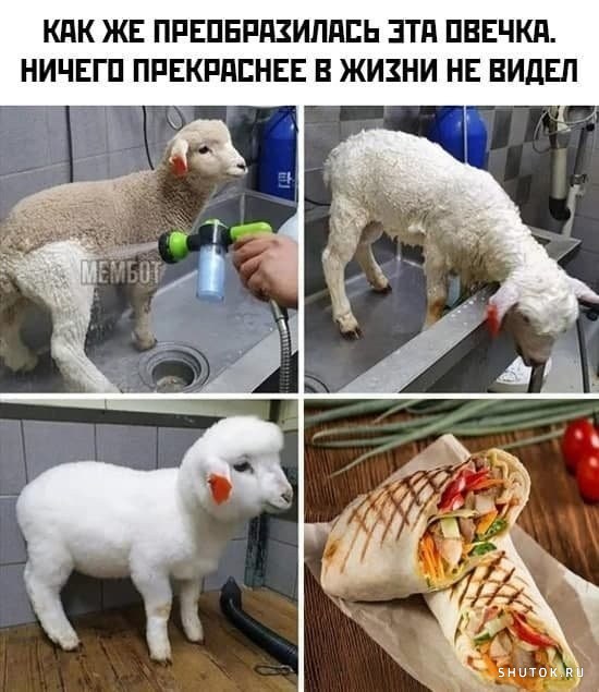 Черный юмор