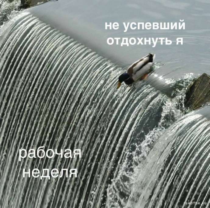 Улыбайтесь, господа, улыбайтесь! (09/10/2024)