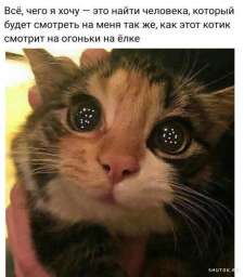 Улыбайтесь, господа, улыбайтесь! (31/10/2024)