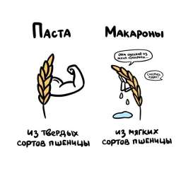 «Путаница»: подсказки о словах, которые люди часто путают