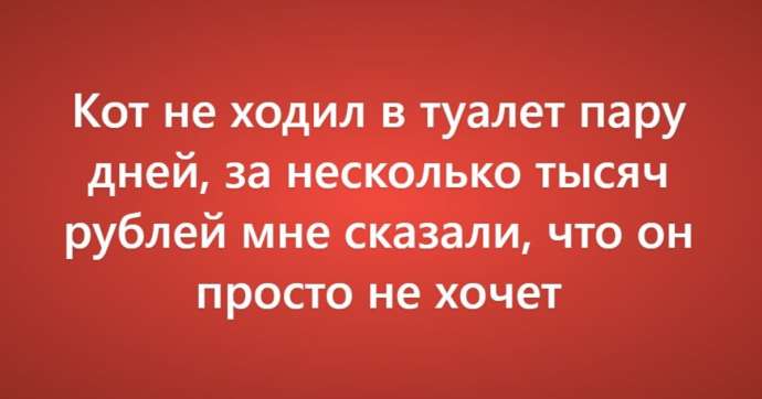 Пользователи сети рассказали о своих самых нелепых причинах (и итогах) поездки к ветеринару