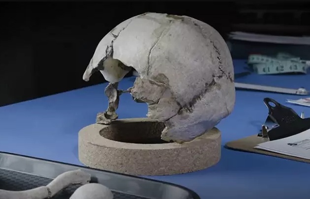 На необитаемом острове Никумароро обнаружили череп Амелии Эрхарт?