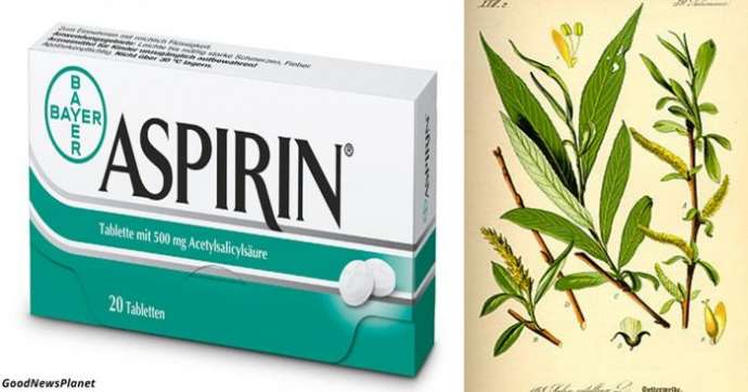 Краткая история аспирина действительно захватывает дух (5 фото)