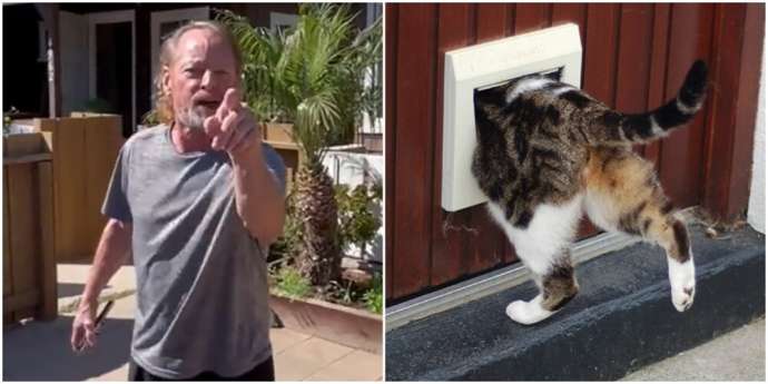 Соседи обвинили американца в том, что он «соблазняет» их кошку