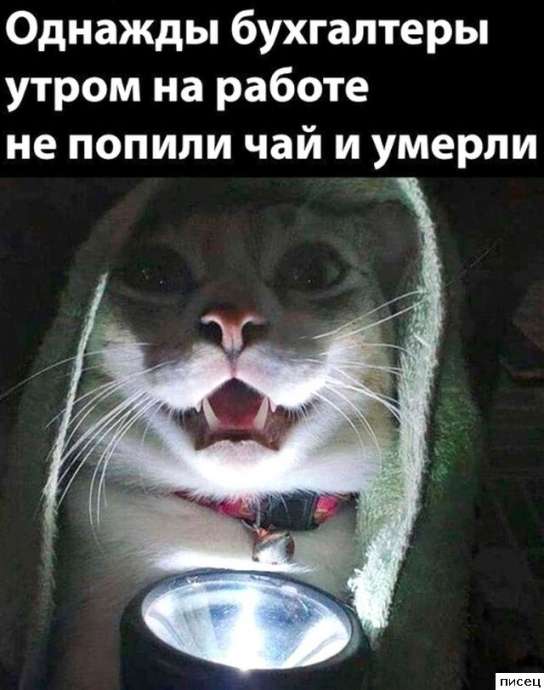 Рабочий юмор, который всем поднимет настроение