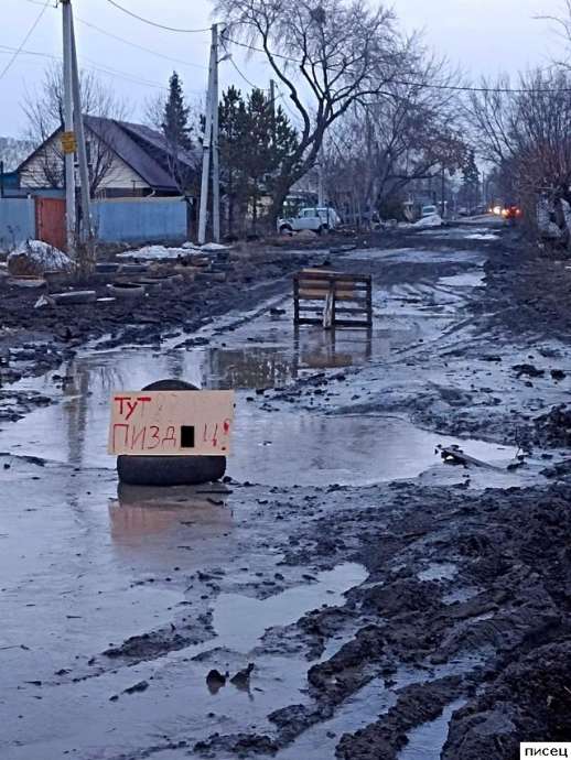 15 наглядных примеров, когда дураки и дороги нашли друг друга