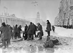 Трезорка - собака, спасшая от голода 16 человек в блокадном Ленинграде