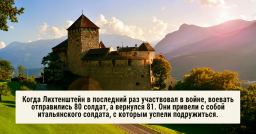 Свежая пища для ума: 30 случайных фактов обо всём на свете