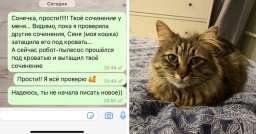 Учительница потеряла тетрадь, и виной тому кошка и робот-пылесос. Оказалось, такое случалось не только у неё