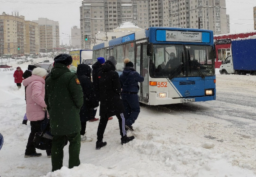 Долгожители среди знаков Зодиака