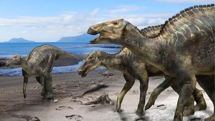 Почему динозавры так называются? (2 фото)