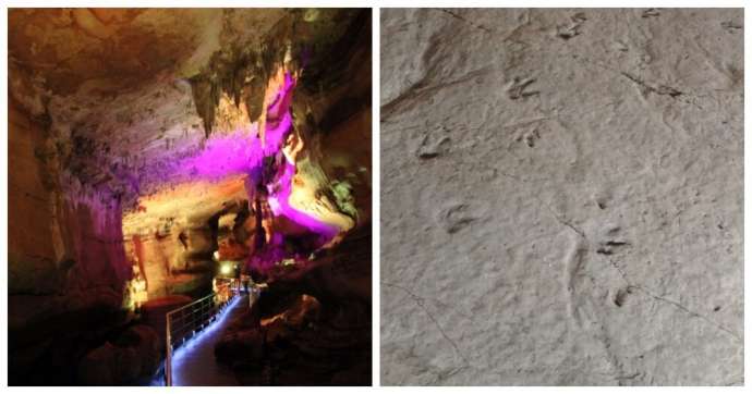 Сатаплийский заповедник: пещера с подсветкой, каменное сердце и привет от динозавров