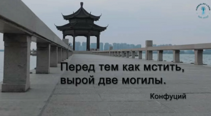 «Я этого не говорил»: как Конфуцию приписывают глупые мысли