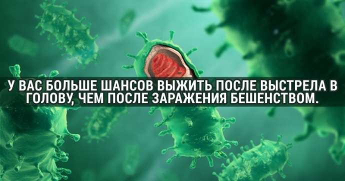 «Хочу все знать» для бесстрашных: 33 мрачных факта, о которых вы не сможете забыть