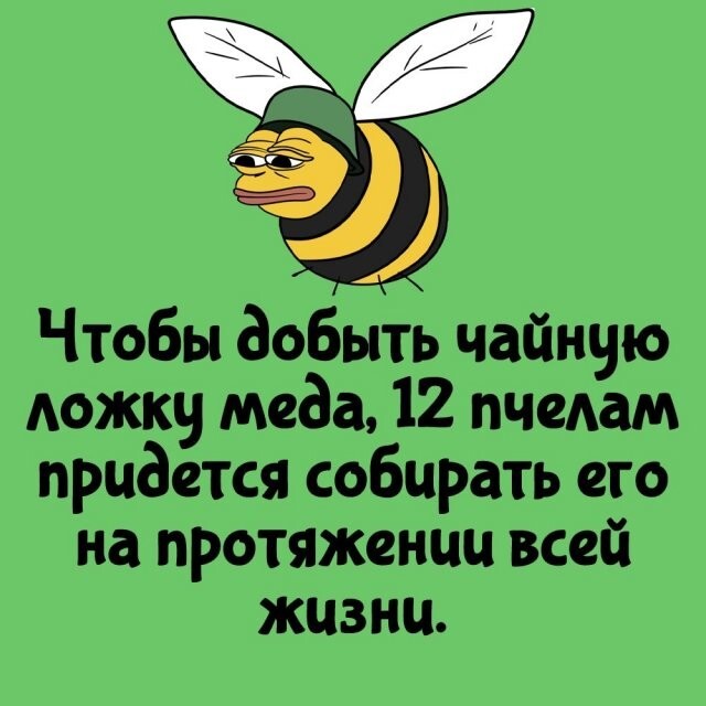 А вдруг ты не знал…