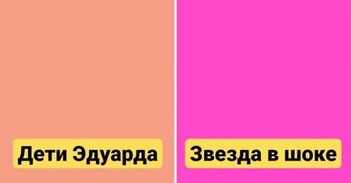 Цветовые оттенки, чьи необычные и смешные названия немножечко сломают мозг