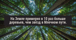 17 удивительных фактов, в которые сложно поверить