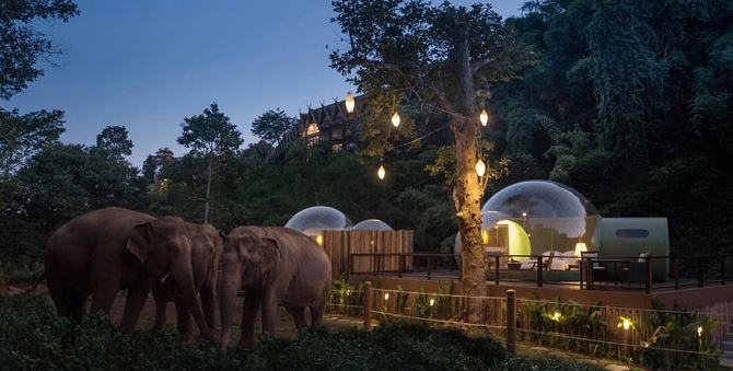 В Таиланде открыли отель, в котором можно спать со слонами