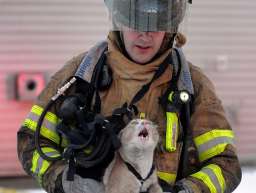 Пожарные, которые рискуют жизнью ради животных