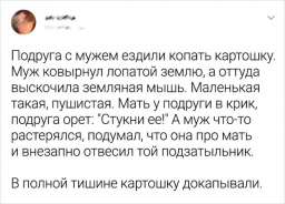 Забавные истории