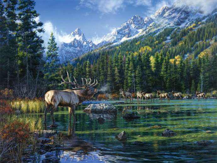 Природа и животный мир в творчестве Даррелла Буша: красота в каждой детали
