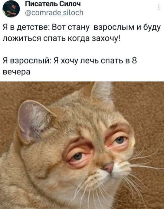 Скриншоты из социальных сетей. Часть 2118