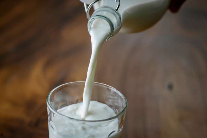 Из молока начнут производить биотопливо для автомобилей